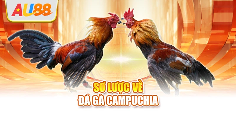 Sơ lược về đá gà Campuchia