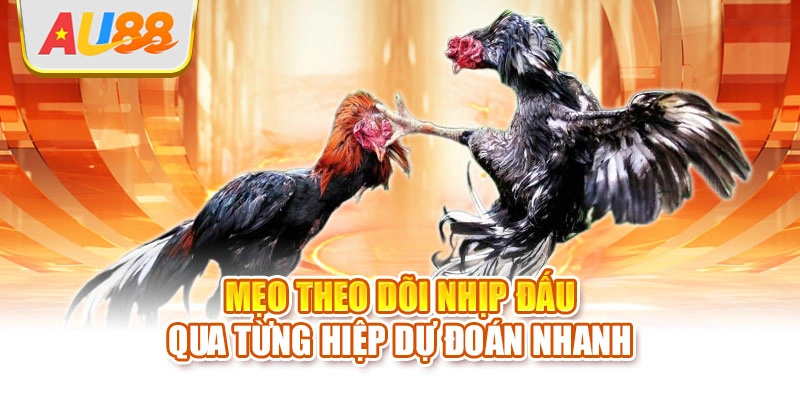 Mẹo theo dõi nhịp đấu qua từng hiệp dự đoán nhanh