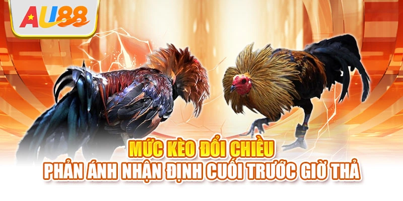 Mức kèo đổi chiều phản ánh nhận định cuối trước giờ thả
