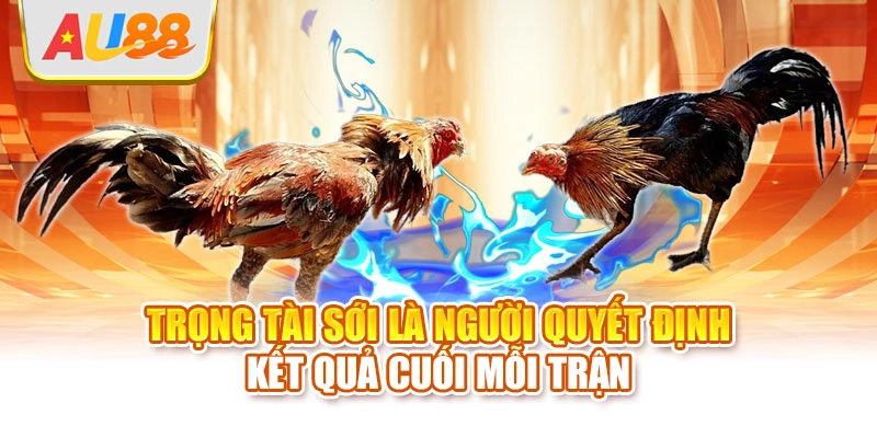 Trọng tài sới là người quyết định kết quả cuối mỗi trận